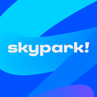 Статистика Дзен Skypark Sochi