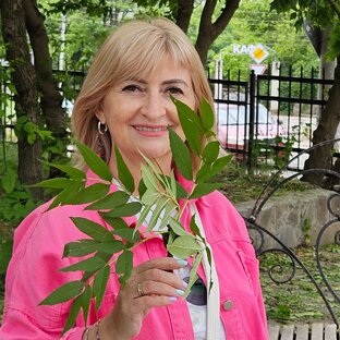 Статистика Дзен Елена. Будни  и путешествия.