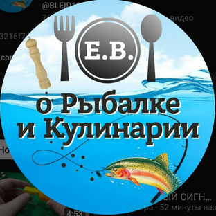 Статистика Дзен Е.В. о Рыбалке и Кулинарии