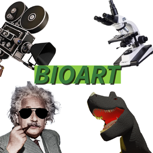 Статистика Дзен BIOART