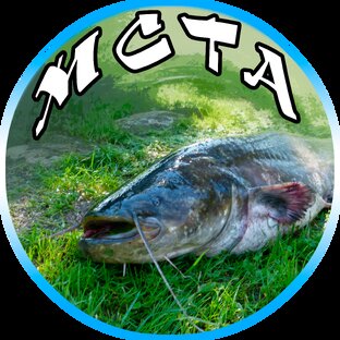 Статистика Дзен Тихий омут