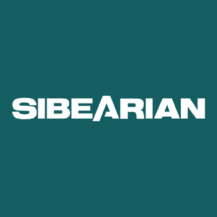 Статистика Дзен SIBEARIAN