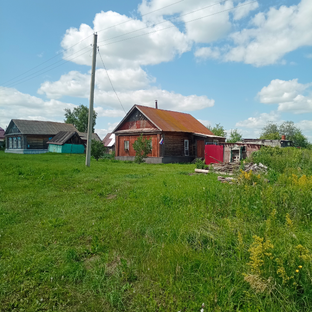 Статистика Дзен Жизнь в деревне
