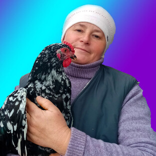 Статистика Дзен Светлана Лустина