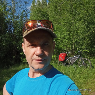 Статистика Дзен lomol