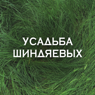 Статистика Дзен Усадьба Шиндяевых