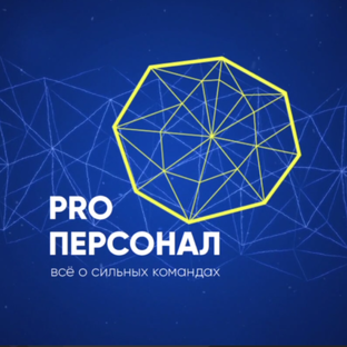 Статистика Дзен PRO_персонал