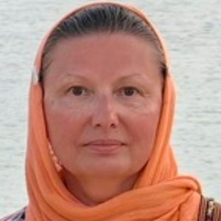 Статистика Дзен Ирина "Сальма" Лапшина