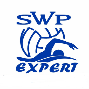 Статистика Дзен SWP Малиновский