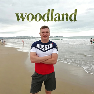 Статистика Дзен WOODLAND