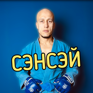 Статистика Дзен Petr Savkin