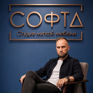 Статистика Дзен СОФТА студия мягкой мебели