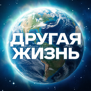 Статистика Дзен Другая жизнь