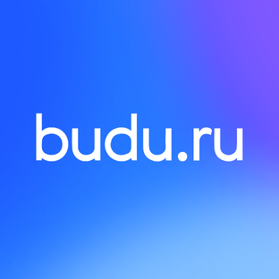 Статистика Дзен budu.ru — маркетплейс медицинских услуг