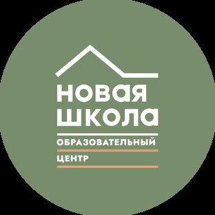 Статистика Дзен Новая школа Истра