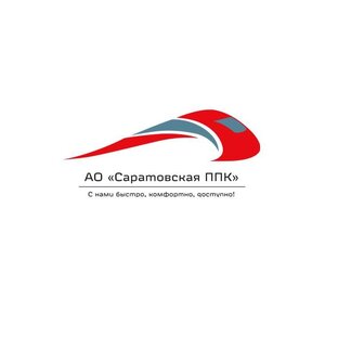 Статистика Дзен АО "Саратовская ППК"