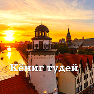 Статистика Дзен Кёниг тудей