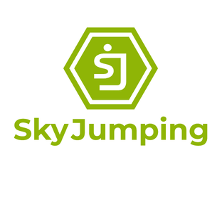 Статистика Дзен Sky Jumping фитнес на батутах