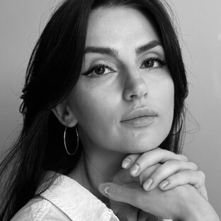 Статистика Дзен Лена Харлова, студия Ledecoro