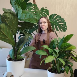 Александра Plants