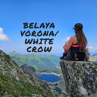 Статистика Дзен Belaya Vorona Белая Ворона
