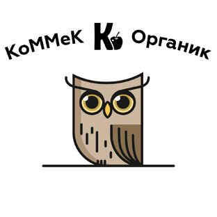 Статистика Дзен Kommek_organic