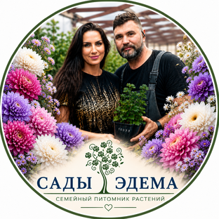 Статистика Дзен Сады-Эдема - цветы, порядок, вдохновение — всё о жизни в питомнике растений