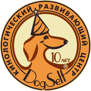 Статистика Дзен DogSelf | Дрессировка и воспитание собак