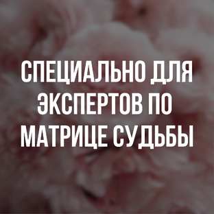 Статистика Дзен Специально для экспертов по Матрице Судьбы