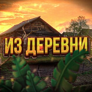 Статистика Дзен ИЗ ДЕРЕВНИ