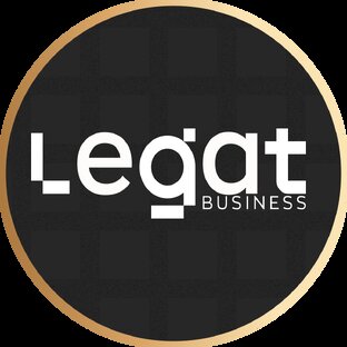 Статистика Дзен Legat Business
