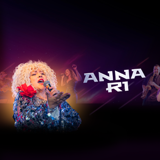 Статистика Дзен Anna Ri. MG ZEA