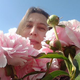 Статистика Дзен Сибирячка Наталья