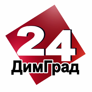 Статистика Дзен Димитровград. Главные новости