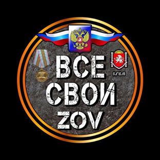 Дзен ВСЕ СВОИ ZOV  статистика