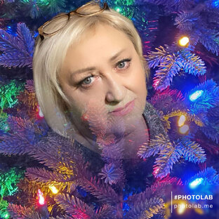 Статистика Дзен Люда Емельянова 