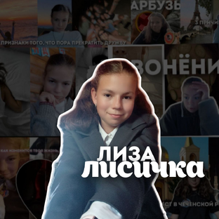 Статистика Дзен Лиза лисичка