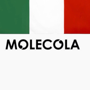 Статистика Дзен MOLECOLA
