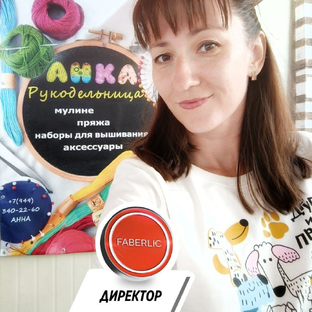 Статистика Дзен Faberlic Анка / Зарабатываю на мечту