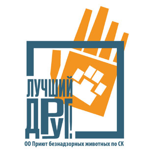 Статистика Дзен Приют для животных "Лучший друг"