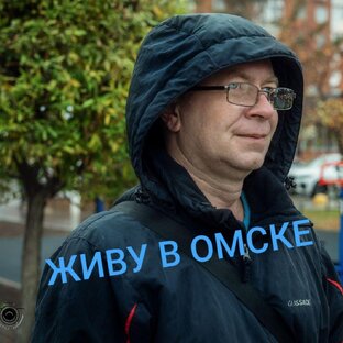Дзен Живу в Омске статистика