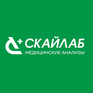 Статистика Дзен СКАЙЛАБ