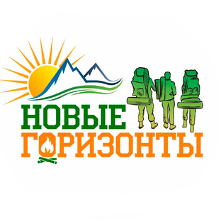 Статистика Дзен Новые Горизонты