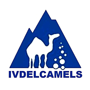 Статистика Дзен Команда Ivdelcamels.
