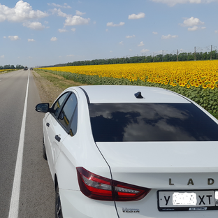 Статистика Дзен Lada Vesta NG