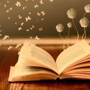 Дзен ~Эдельвейс~ статистика