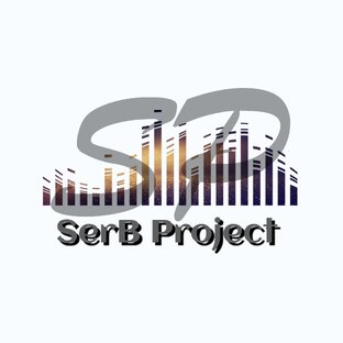 SerB Project 