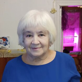 Статистика Дзен Нинушка Нинулька Нинок