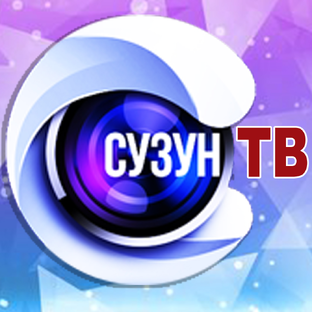 Статистика Дзен Сузун ТВ