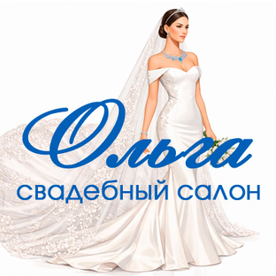 Статистика Дзен Свадебный салон "Ольга"